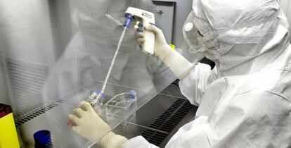 Las células iPS son capaces de transformarse en cualquier tejido del cuerpo humano.