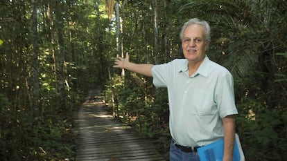 O cientista Carlos Nobre na Reserva Ecológica de Cuieiras, a 100 quilômetros de Manaus, na área de pesquisa do Instituto Nacional de Pesquisas da Amazônia (INPA).