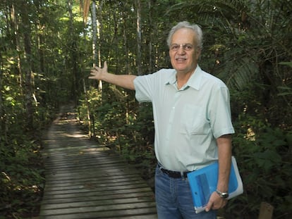 O cientista Carlos Nobre na Reserva Ecológica de Cuieiras, a 100 quilômetros de Manaus, na área de pesquisa do Instituto Nacional de Pesquisas da Amazônia (INPA).