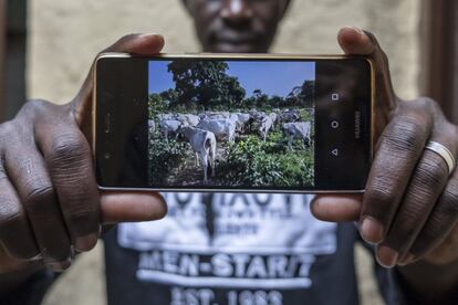 Keba Diouara muestra una foto de su ganado que mantiene desde España. Hace años su familia perdió gran parte de sus vacas por culpa de la tripanosomiasis. Gracias a los últimos avances en su país Keba se ha decidido a volver a levantar una cabaña ganadera similar a la que perdió su padre y que además también sirve de sustento al resto de su familia.