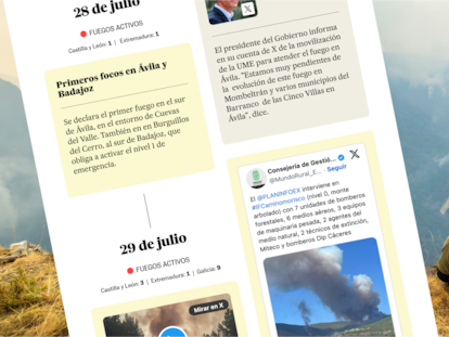 Un mes entre llamas: cronología de una ola de fuegos extraordinarios en medio del barro político