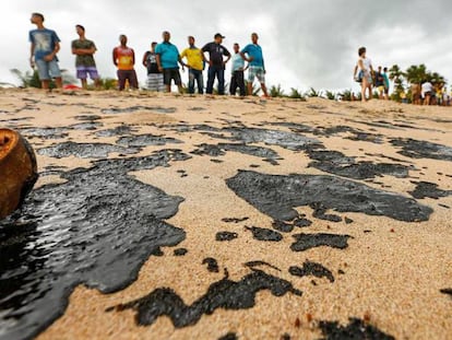 Un grupo de trabajo participa en las acciones de limpieza del petróleo en la Costa dos Corais. 