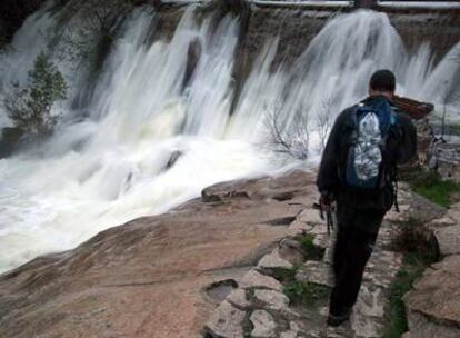 Un hombre pasea por la ribera del Manzanares.