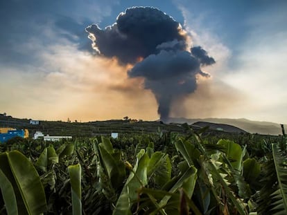 Nube del Volcán de Cumbre Vieja, en La Palma. 