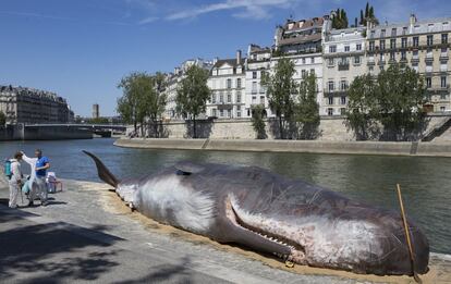 Miembros del colectivo artístico belga apodado 'Captain Bloomer' trabajan en una instalación artística recreando una ballena encallada en la ribera del río Sena en París (Francia).