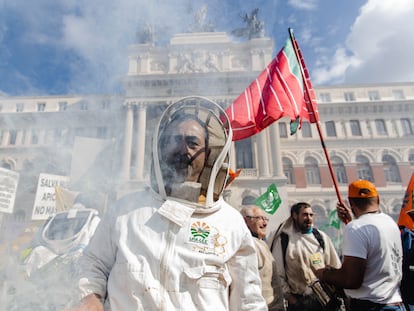 Un apicultor viste con un gorro de apicultura durante una concentración de las organizaciones profesionales agrarias y entidades relacionadas con el sector apícola frente al Ministerio de Agricultura, este jueves, en Madrid.