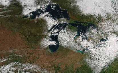 Varios eventos fenológicos, como la caída de las hojas (en marrón) de los bosques de los Grandes Lagos, se han visto afectados por el cambio climático.