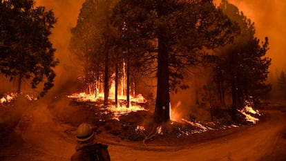 Incêndio em floresta de sequoias na Califórnia, no final de setembro.