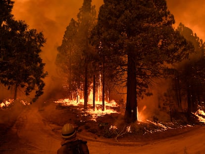 Incendio en un parque nacional, en California (EE UU) en septiembre.