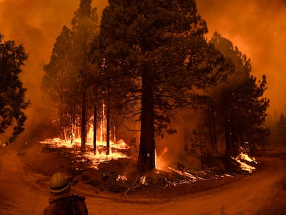 Incendio en un bosque de secuoyas en California a finales de septiembre.
