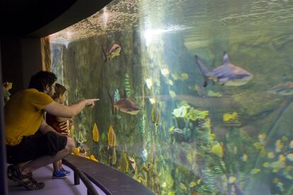 Consolidado como una referencia internacional de divulgación científica en el sur de Europa, en el parque de las Ciencias de Granada está prohibido no tocar, algo que engancha a niños (y adultos), como las propuestas interactivas de la sala Explora, en la de la Biosfera (que incluye un contador de la población del mundo en tiempo real), y en el espacio Eureka, dedicado a experimentos de física. Su BioDomo (en la foto) es un espacio dedicado a la conservación y la investigación de la biodiversidad en el planeta: recrea el clima de la franja tropical y alberga más de 250 especies entre animales y plantas. <a href="http://www.parqueciencias.com/parqueciencias/" target="_blank">parqueciencias.com </a>