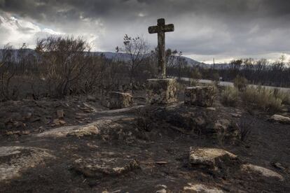 Terreno devastado tras el gran incendio de Cualedro (Ourense) en 2015.