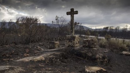 Terreno devastado tras el gran incendio de Cualedro (Ourense) en 2015.