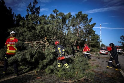 Los bomberos retiran árboles caídos en una carretera de Figueira da Foz, Portugal, el 14 de octubre de 2018. 