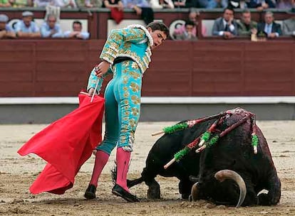 El novillo besa el suelo durante la faena de Alberto Revesado ayer en Las Ventas.