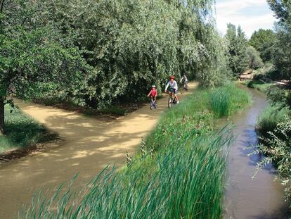 Lote 1 Corredor Manzanares norte: El plan incorpora la renaturalización de la senda paralela al curso norte del río Manzanares, creando un camino peatonal y para bicicletas e intensificando la plantación de especies de ribera. PINO FORESTAL INGENIERÍA