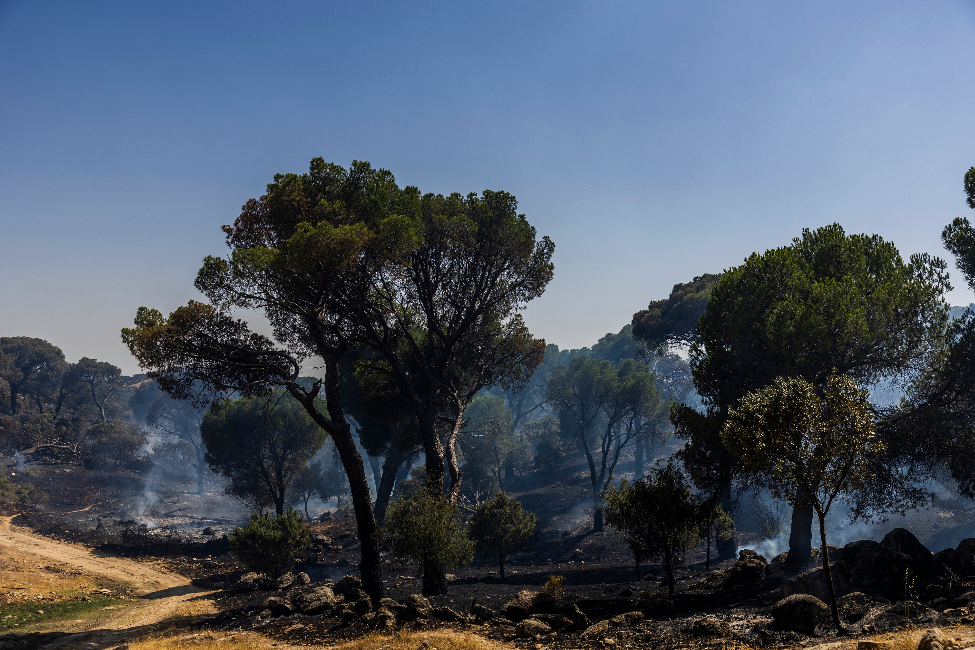 Incendio en Villa del Prado (Madrid), el jueves.