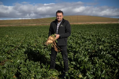 Javier Prieto, agricultor de remolacha, en su explotación de de Peleas de Abajo, Zamora.