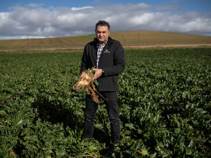 Javier Prieto, agricultor de remolacha, en su explotación de de Peleas de Abajo, Zamora.