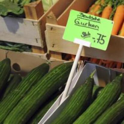 Pepinos a la venta en un puesto de verduras de un mercado en Berlín (Alemania)