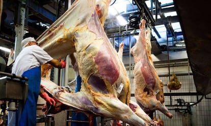 Un carnicero desuella una vaca en un matadero danés.