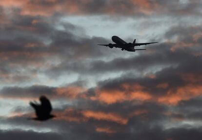 Un ave pasa mientras un avión despega en el aeropuerto internacional de Heathrow, al oeste de Londres (Reino Unido).