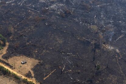 A NASA também é cautelosa. "Não é incomum ver incêndios no Brasil nesta época do ano, devido às altas temperaturas e à baixa umidade. O tempo dirá se este ano é um recorde ou está simplesmente dentro dos limites normais", tranquiliza a agência espacial norte-americana. Na foto, uma casa cercada por terras devastadas por incêndios perto de Porto Velho, no dia 23 de agosto.