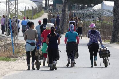 Mujeres tras la recolección de fresas en una finca de la localidad onubense de Palos de la Frontera el pasado mayo.