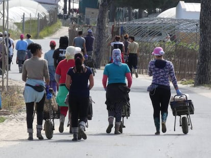 Mujeres tras la recolección de fresas en una finca de la localidad onubense de Palos de la Frontera el pasado mayo.