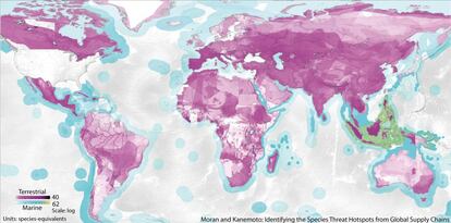 Mapa dos lugares com espécies ameaçadas em relação com o consumo de bens nos EUA.