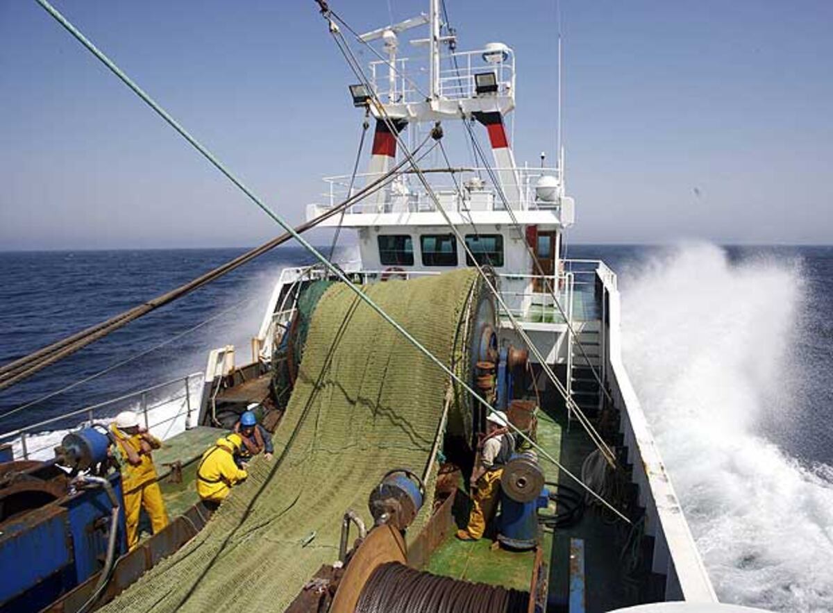 Los barcos dedicados a la pesca de altura tendrán que cambiar de ...