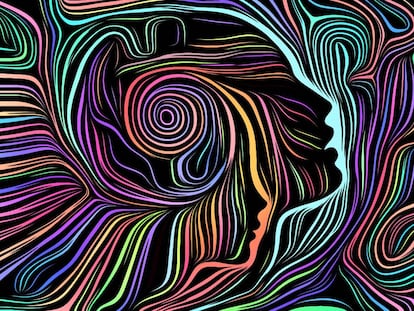 Reflexión en la granja