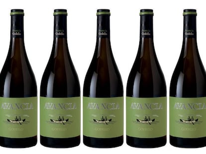 Avancia 2016, godella de Valdeorras