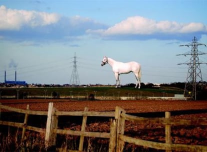 Simulación con ordenador del caballo de Wallinger en Swanscombe, Kent (Reino Unido).