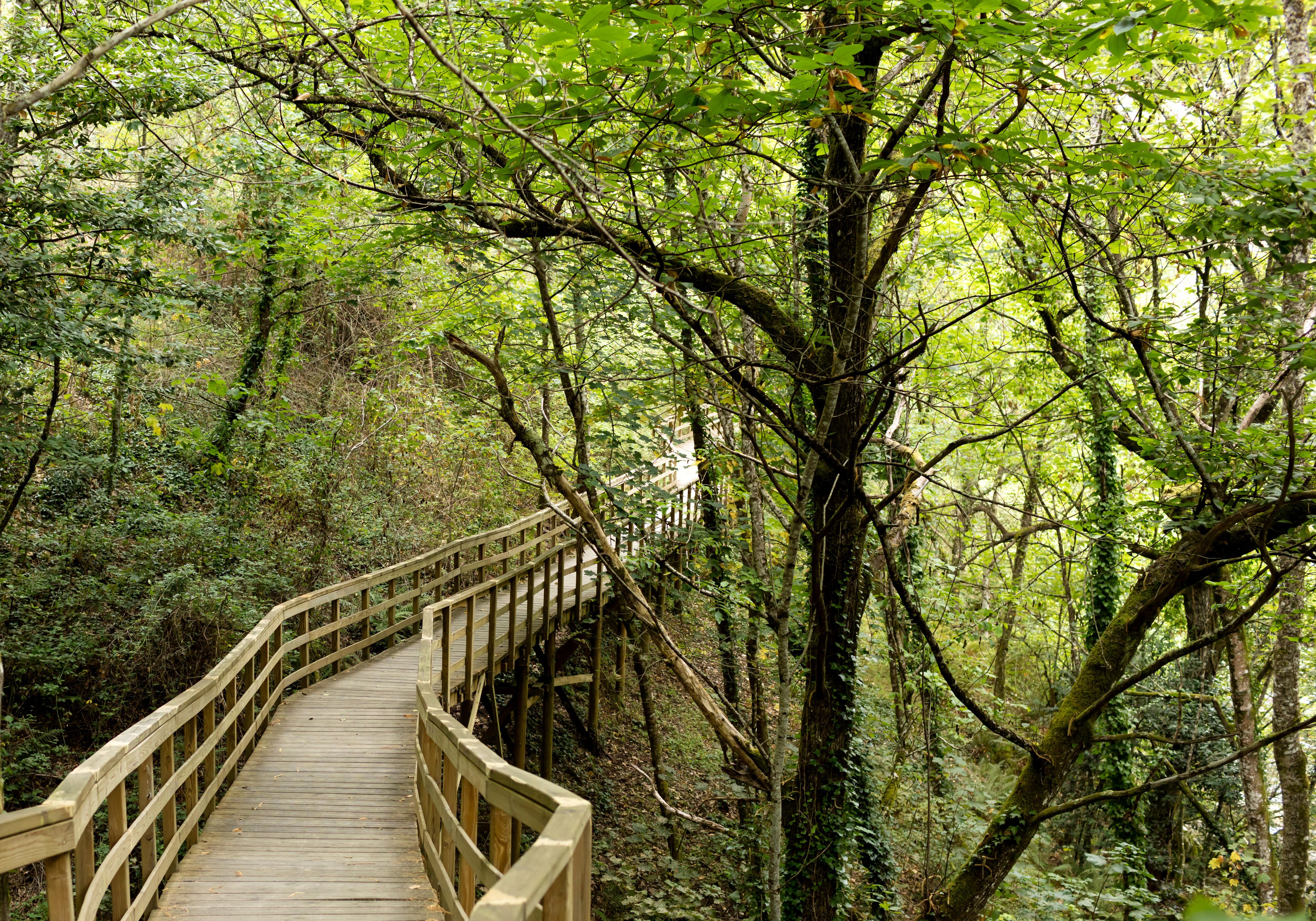 Las pasarelas del río Mao (Ourense).