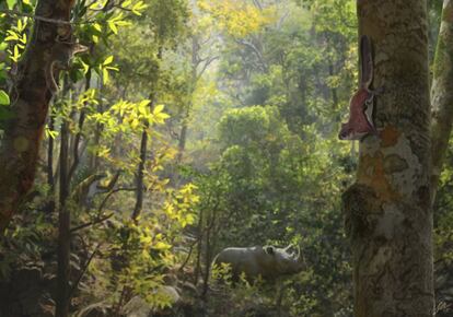 Reconstrucción de una ardilla voladora en los bosques de Cataluña y Francia hace 10 millones de años.