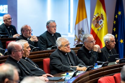 Los obispos aprueban su plan integral para reparar a las víctimas de abusos sexuales en la Iglesia, realizado sin participación del Gobierno y sin consultar a las asociaciones de víctimas.