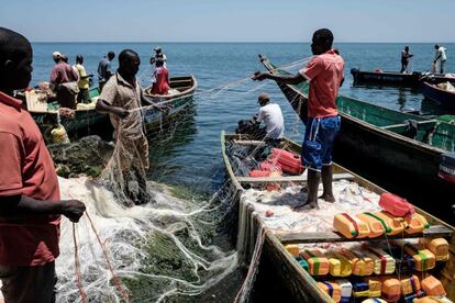 Varios pescadores preparan sus redes para lanzarlas sobre las aguas de Migingo. Este territorio, bañado por el lago Victoria, es rico en 'Percas del Nilo'.