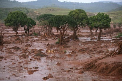 Las autoridades de defensa civil en Mariana han asegurado que estaban evacuando a unas 600 personas a zonas más altas desde la localidad de Bento Rodrigues, donde imágenes de televisión mostraron decenas de casas destruidas por el alud de barro.