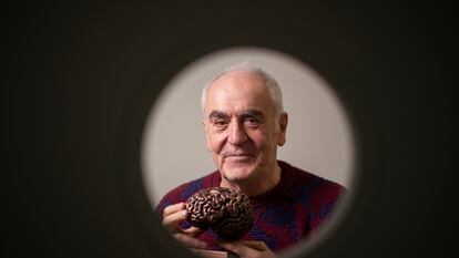 Javier DeFelipe in a photo taken at the Center for Biomedical Technology, Polytechnic University of Madrid.