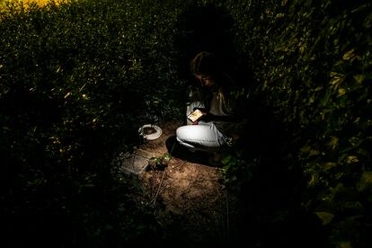 Rebeca se ilumina con un móvil en una de las colonias que cuida.