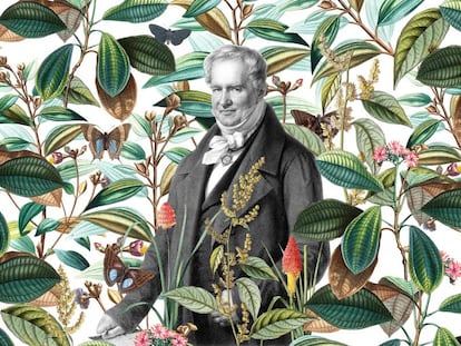 Humboldt, el genio romántico que anticipó el cambio climático