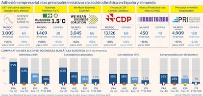 COP 27 Acción empresarial