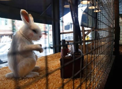 'White Rabbit' de la exhibición 'The Village Pet Store and Charcoal Grill' del artista  Banksy
