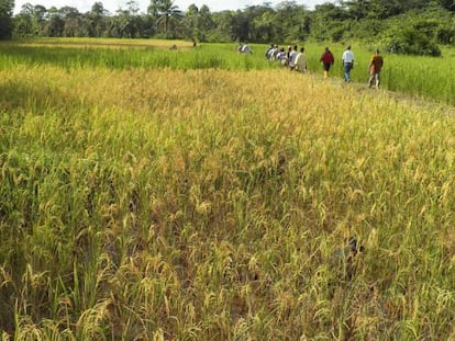 Tierras agr&iacute;colas en Tundin (Liberia).