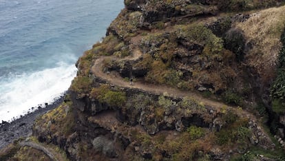 Descenso a un barranco cerca de Puntallana en uno de los tramos del  Camino Real de la Costa y las Medianías.