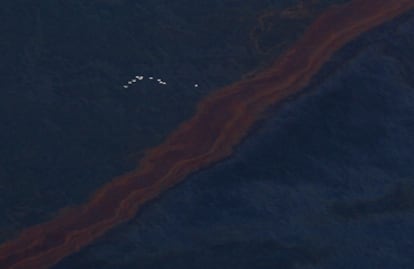 Una bandada de pájaros sobrevuela parte de la mancha de crudo en el Golfo de México