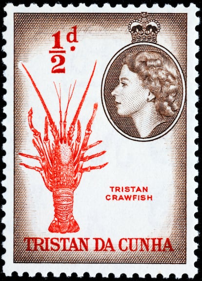 Sello de correos británico de 1954 con una langosta de Tristan ('Jasus tristani'), endémica de la isla de Tristán de Acuña.