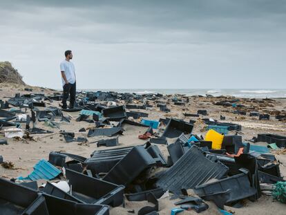 Un voluntario camina entre cajas plásticas sobre una de las playas de la Península Valdés, en la provincia de Chubut (Argentina), en abril de 2023.