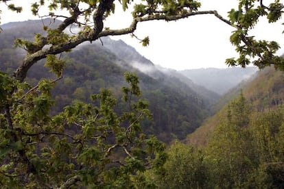 Vista de la zona del parque que se salvó de las llamas.